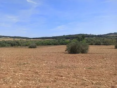Beautiful quiet plot for sale with project Manacor San Lorenzo — photo 12