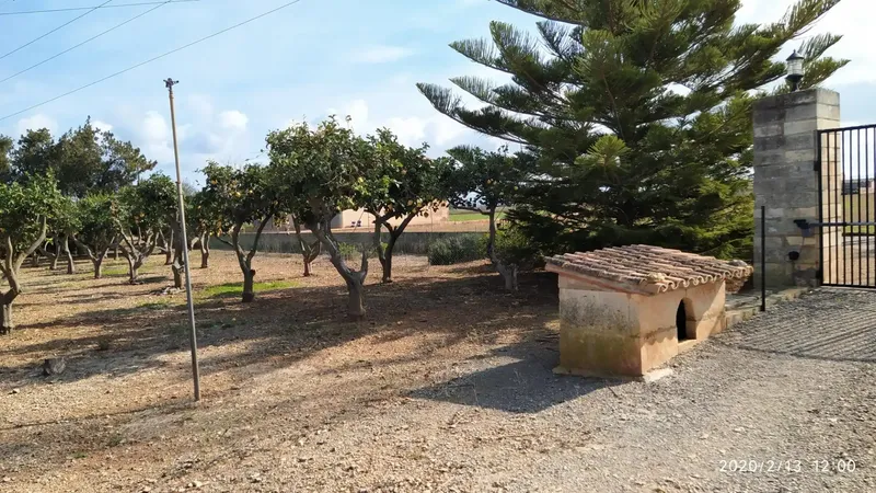 Charming finca in a natural setting in Sa Pobla with very easy access — photo 3