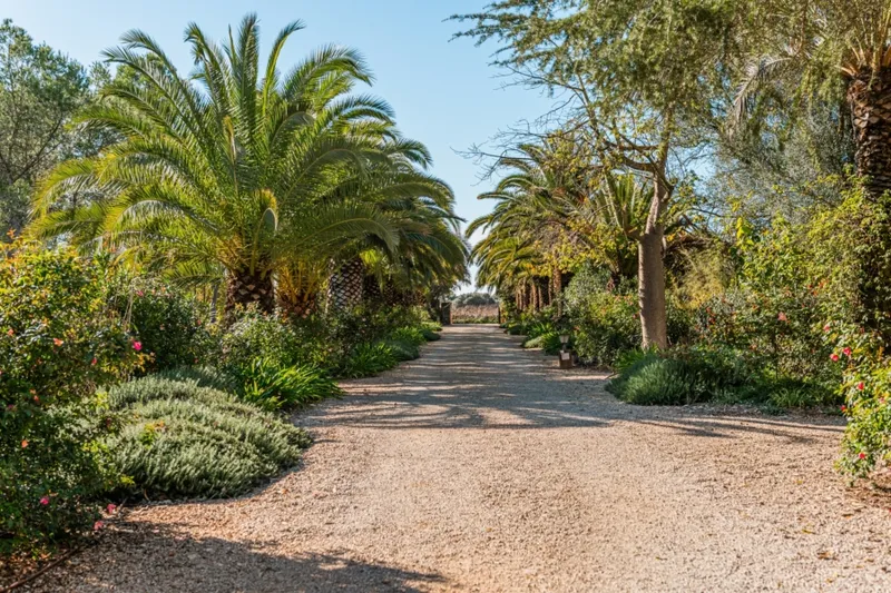 Elegant country finca with pool, guest house & Mediterranean gardens—complete peace — photo 4