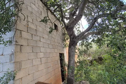 Land in Costitx, Mallorca — photo 9