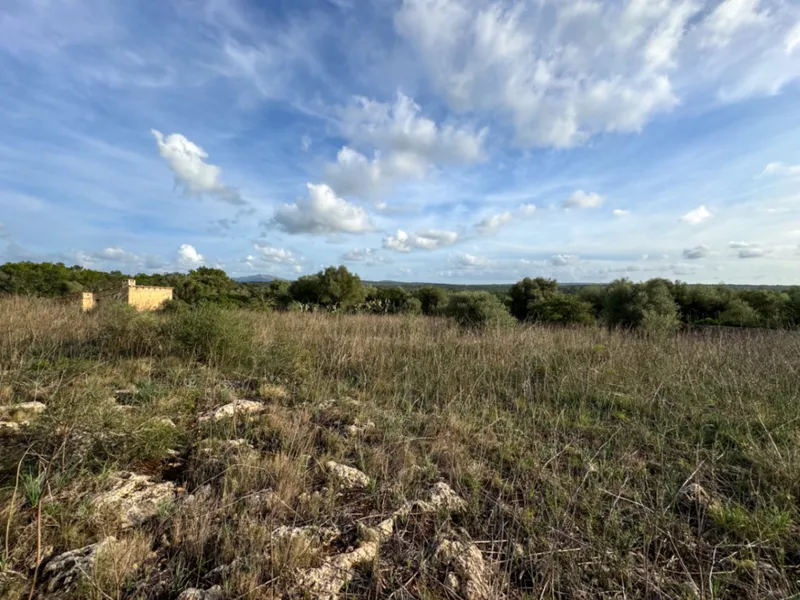 Beautiful rustic building plot with stunning ... — photo 9