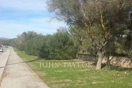 Plot for Sale in Santa Ponsa — photo 3