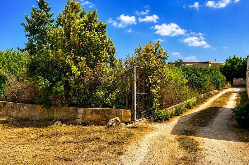 Urban plot of 994 m² in Algaida — photo 1