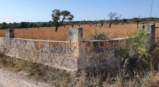 Plot with project and license in Manacor — photo 9