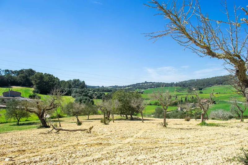 Sineu / Maria de la Salut – Building plot with 21,500 m2 in prime hillside location — photo 1