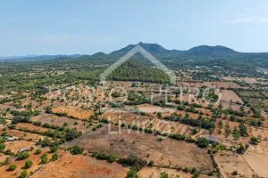 Ref. PRO230 – Spacious plot with project for a modern finca with various building volumes, floor-to-ceiling windows, garage, patio and pool in an idyllic neighborhood with excellent connectivity between Es Carritxo and Felanitx — photo 8