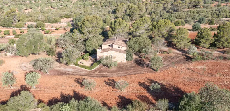 Country house for sale in Campos with land, orchard and own well — photo 8