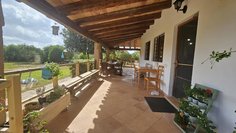 Authentic Mallorcan Finca — photo 2