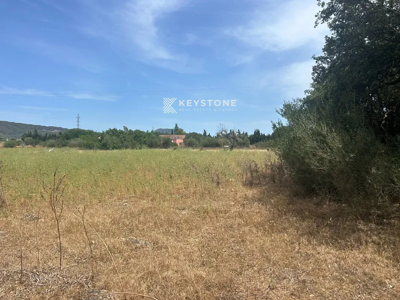 Plot — photo 10