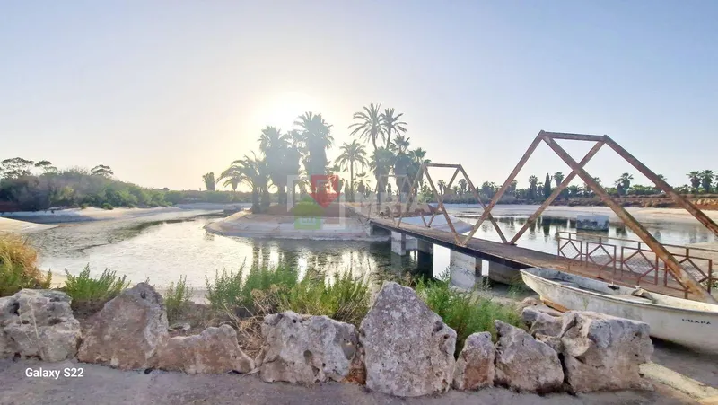 Plot for sale – Ses Salines (Mallorca) — photo 1