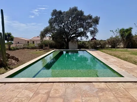 Rustic finca with an idyllic garden and pool between Son Carrio and Porto Cristo — photo 4