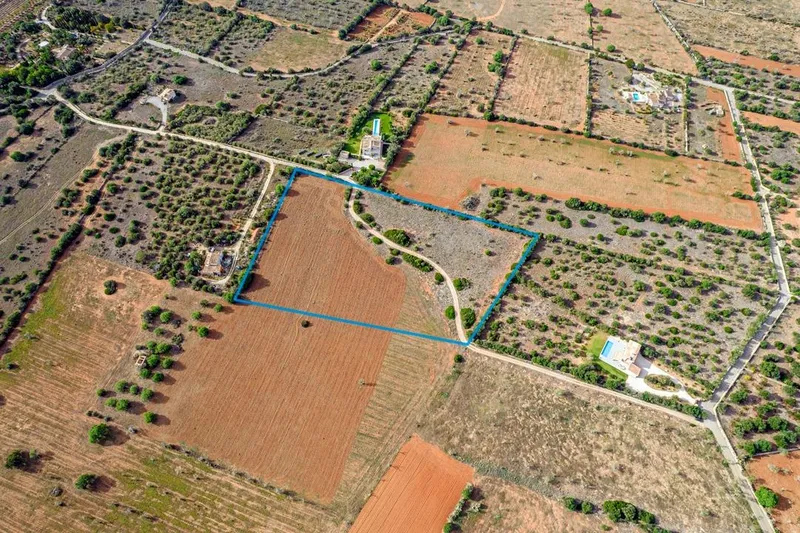 Plot in Ses Salines: The Perfect Place to Create Your Home in Mallorca — photo 1