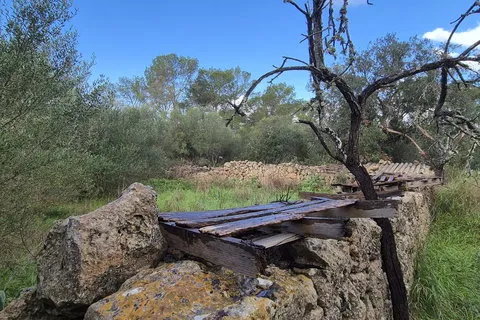 Land in Costitx, Mallorca — photo 12