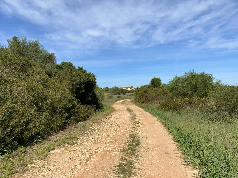 Plot in Ses Salines: The Perfect Place to Create Your Home in Mallorca — photo 9