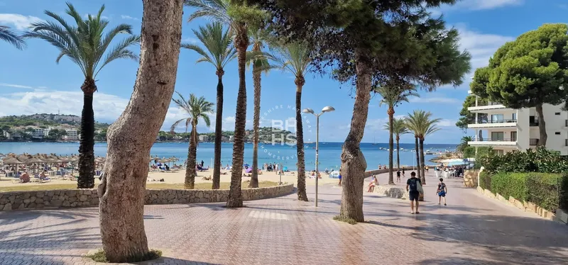 Commercial Premises for sale in Santa Ponsa — photo 2