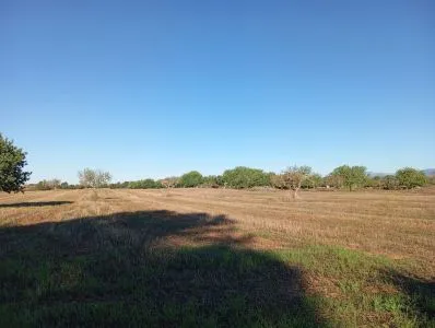 Country house in Algaida, built surface 146 m², plot surface 46,000 m², 3 bedrooms, 1 bathroom — photo 5