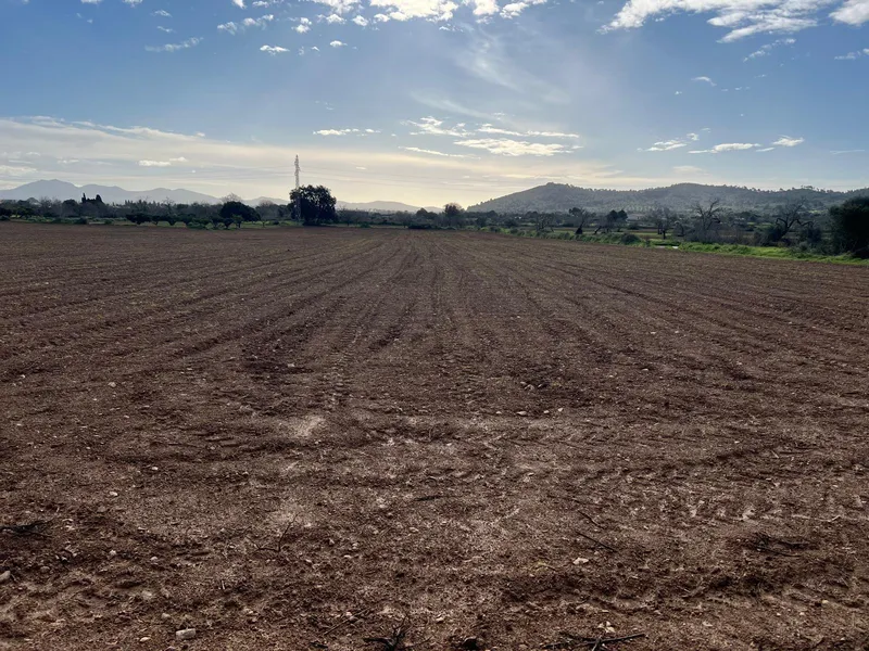 Porreres Rustic Plot for Building — photo 1