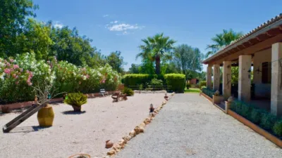 Rustic country house in Sant Llorenç des Cardassar — photo 4
