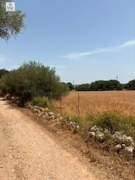IKV00499-1. Rustic estate for sale in Sencelles, near the hamlet of Cas Canar, with general rustic classification and suitable for construction — photo 10