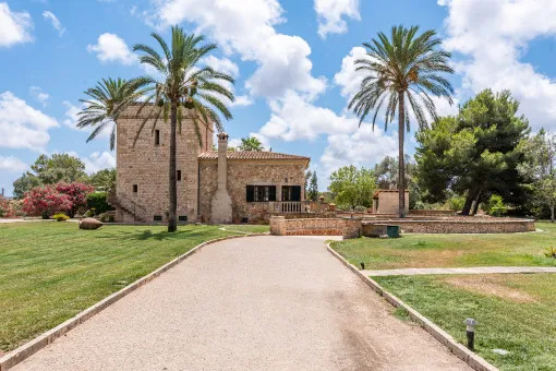Ses Salines, charming finca with lots of privacy and holiday rental license near Ses Salines — photo 3