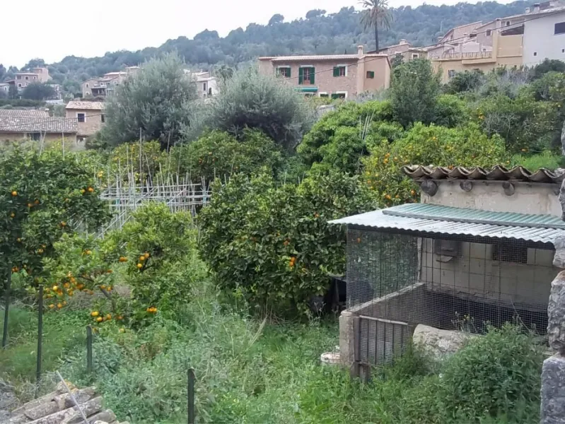 Garden plot in Fornalutx — photo 1