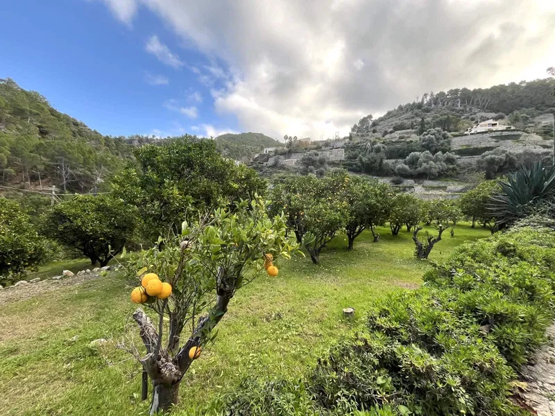 Finca/Country House for rent in Banyalbufar, Mallorca — photo 6