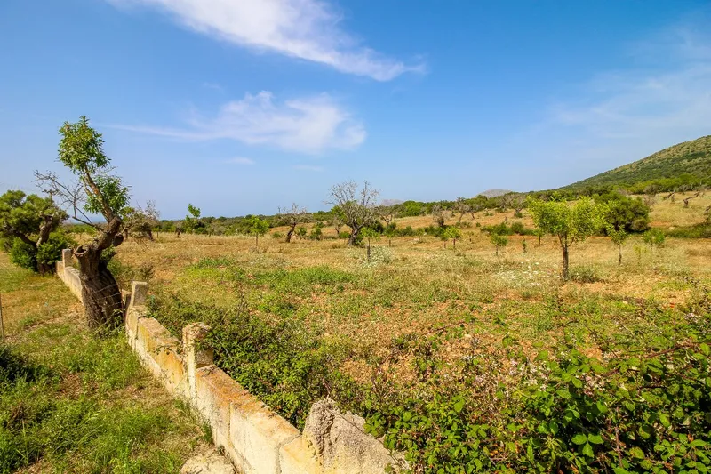 Discreet Listing - Exceptional Ecological Estate near Manacor — photo 6