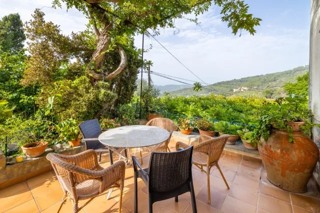 Finca with holiday rental license for sale in Biniaraix, Mallorca — photo 3