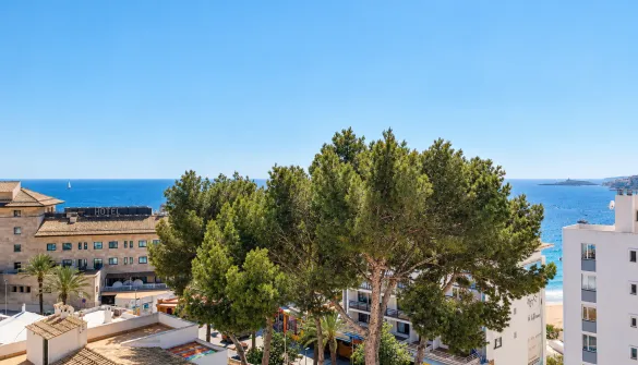 Penthouse in Palma — photo 1
