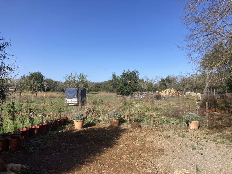 Beautiful piece of land with valid building license in Pollensa countryside — photo 5