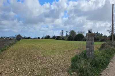 Rustic land in Manacor — photo 2