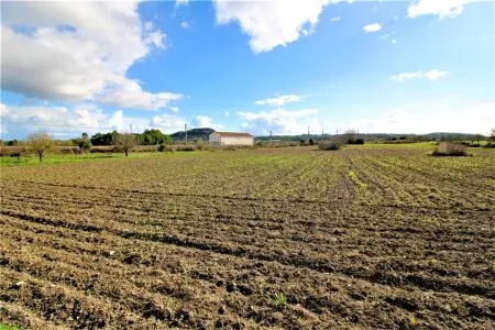 Rural Land - Sineu, Plot Surface 28600 m² — photo 6
