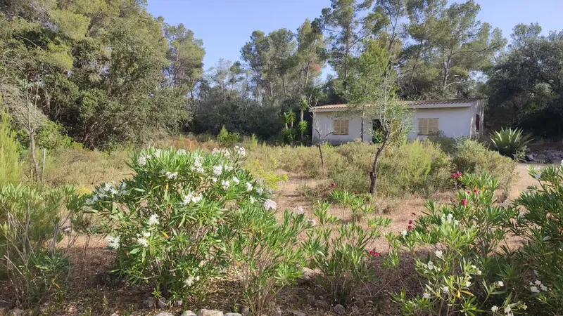 Rustic estate for sale in Sant Joan, in the Hortella area, with a plot of approximately 12,805 m², with access from a path — photo 12