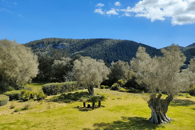 Vacation rental of a country house in Esporlas — photo 5