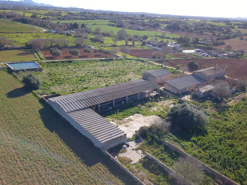Finca for agricultural use with residential house in Manacor — photo 6