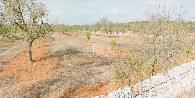 Country plot for sale in Santanyí — photo 4