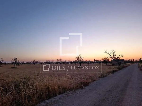 19,544m² plot with 19,544m² garden for sale in Campos — photo 5