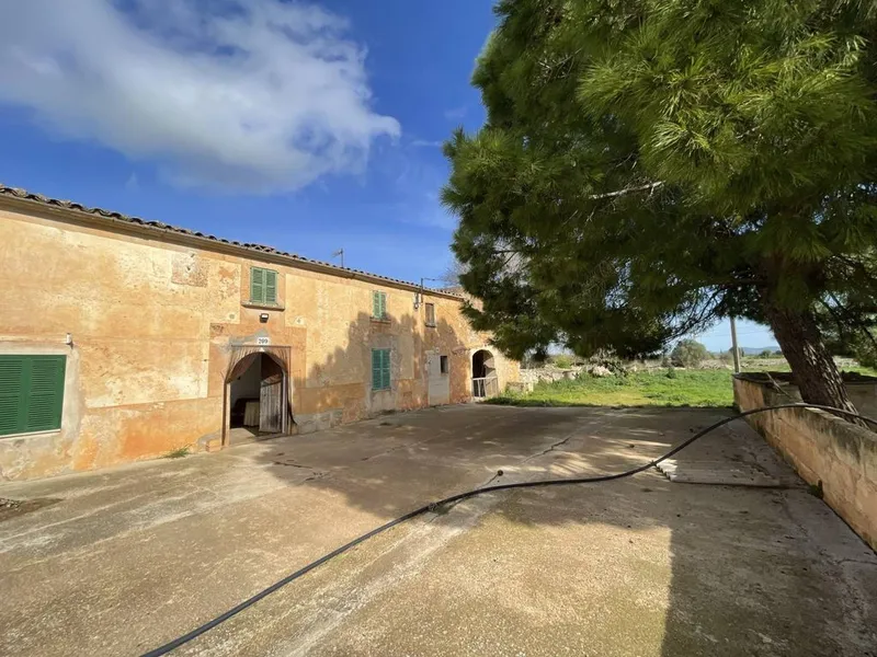 Rural or Farmhouse in Felanitx, Province of Balearic Islands — photo 2