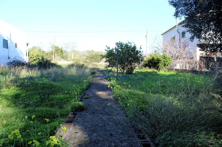 Plot in S'Alquería Blanca area — photo 3
