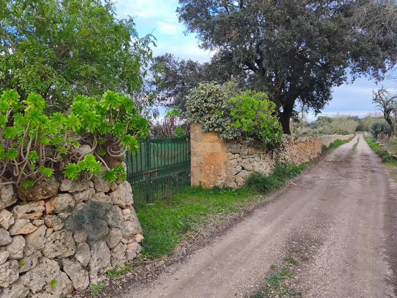 Discover this charming agricultural estate of four cuarteradas, located in a privileged setting with stunning views of the Tramuntana — photo 1