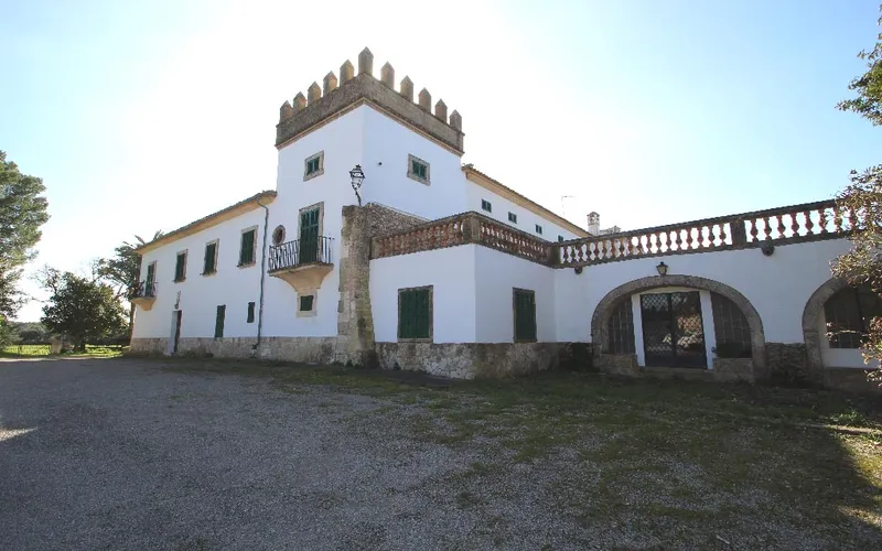 Finca with 28 hectares and 6500 m² built, 10 minutes from the beach of Muro. — photo 4