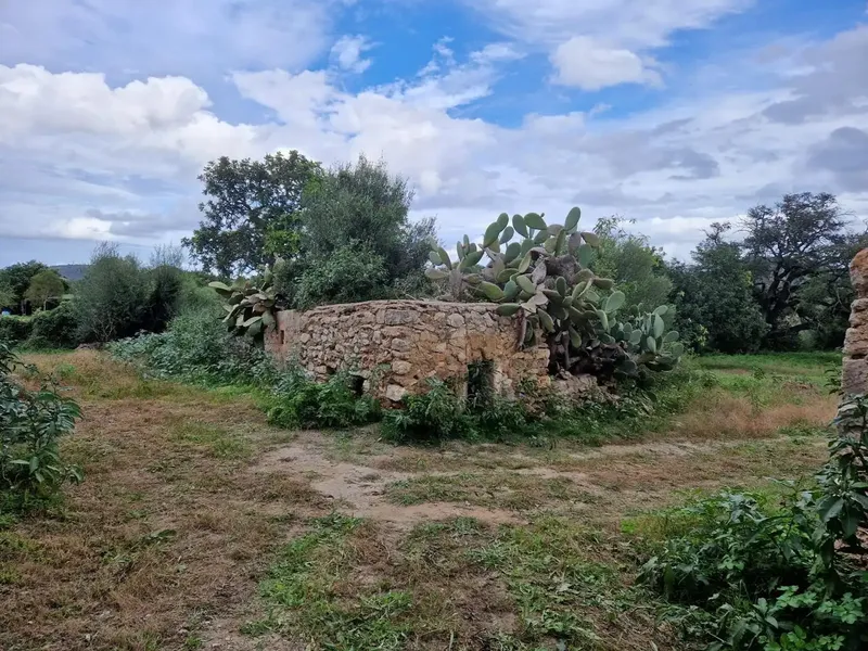 Can Voreta: Authentic Mallorcan estate in one of the best-preserved rural landscapes of northeast Mallorca — photo 3