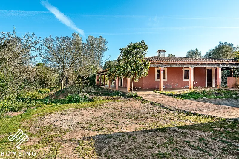 Rustic finca with house in Algaida — photo 1