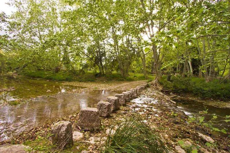Magnificent exclusive property for sale in Pollensa set in Vall den March — photo 4