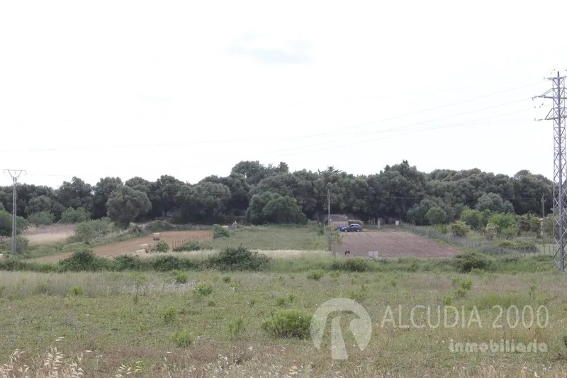 Land — photo 4