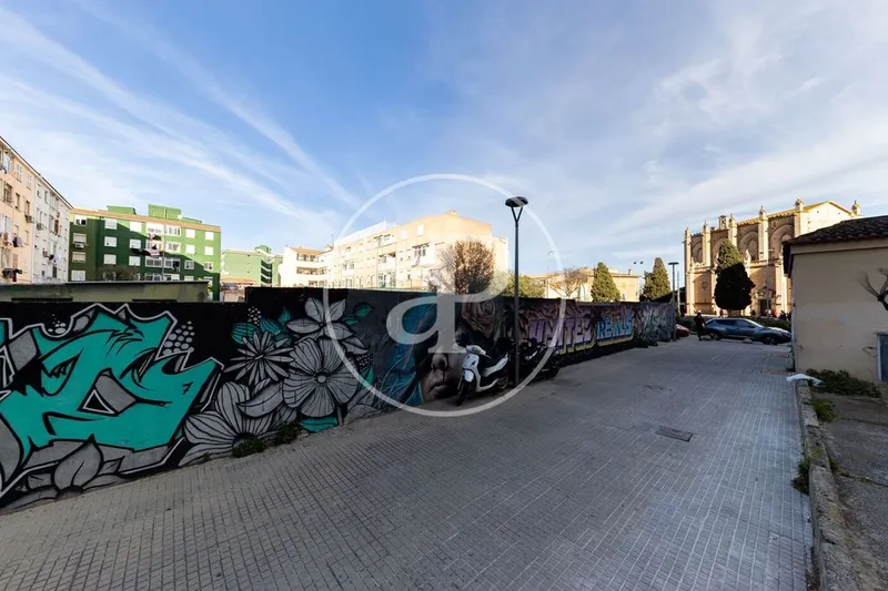 Land in Palma de Mallorca, Province of Balearic Islands — photo 11