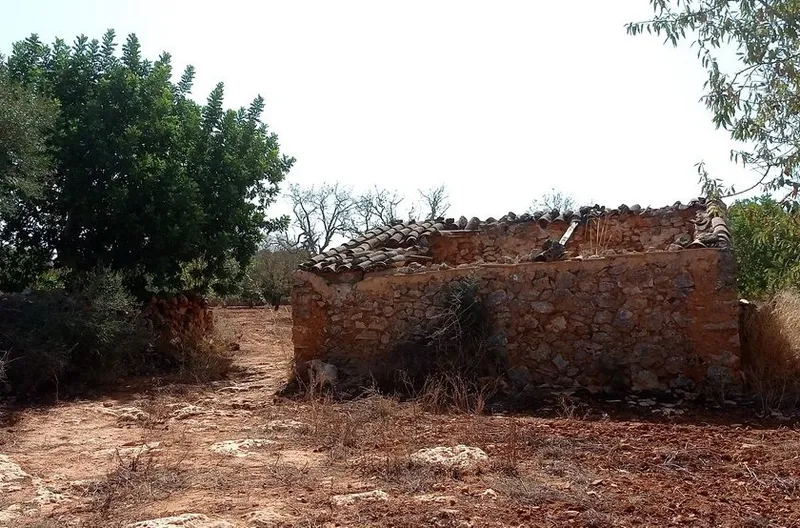 Rustic building plot between Cas Concos – Santanyi — T 22 CM — photo 6