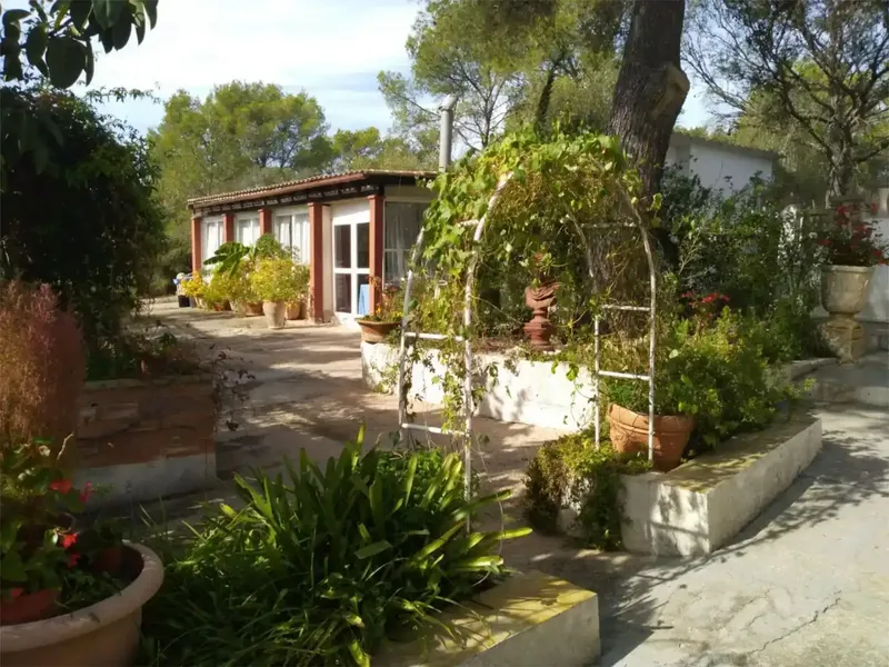 🌿 Finca rústica con casa independiente, piscina y placas solares en Algaida, cerca de Palma — photo 1