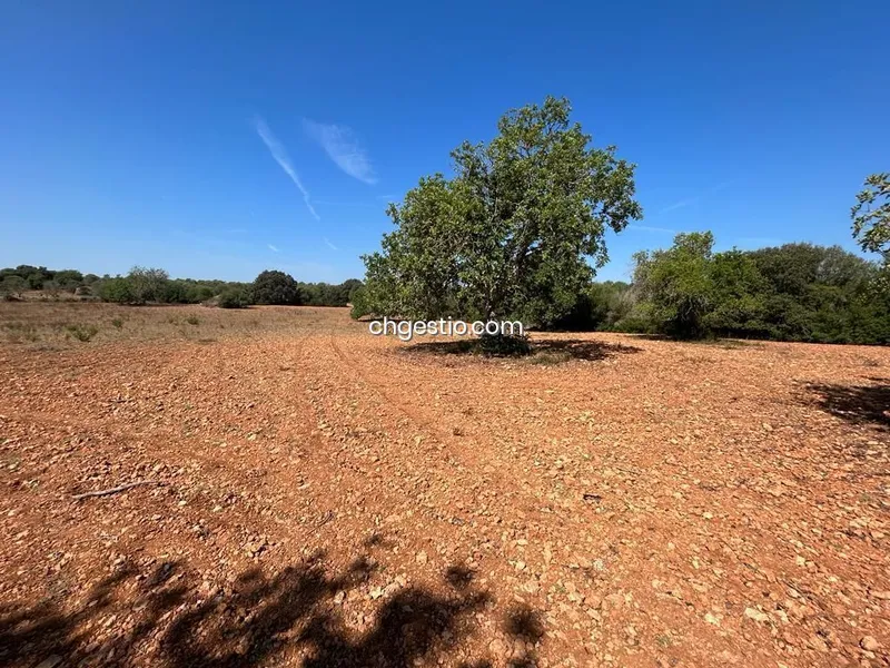 Plot in Campos — photo 4