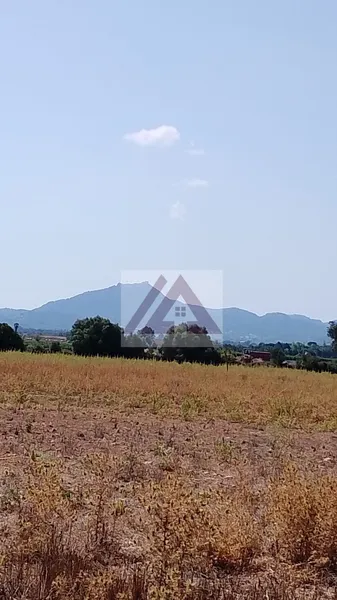 Rural land for sale in Felanitx — photo 1